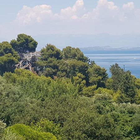 Mon Repos Panorama Διαμέρισμα Corfu  Εξωτερικό φωτογραφία